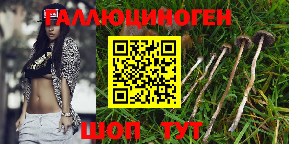 Галлюциногенные грибы MAGIC MUSHROOMS  Вход с VPN  Лысьва 