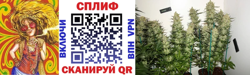 как найти наркотики  Лысьва  blacksprut сайт  МАРИХУАНА Ganja 